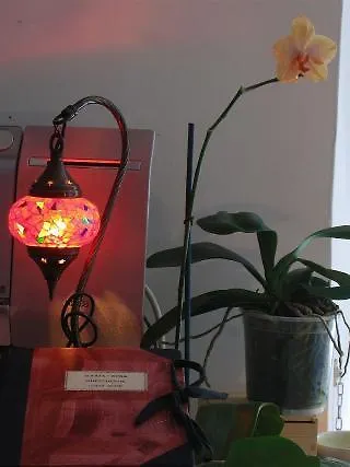 Maria-rosa מלון 3*